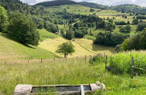 Au croque nature - Foto 5