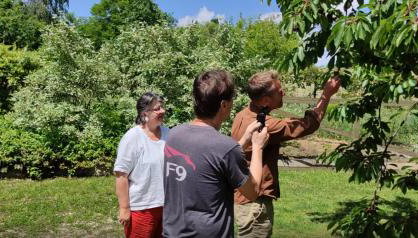 Ruralna kuća za odmor Pozojova hiža - Rural Holiday House - Foto 4