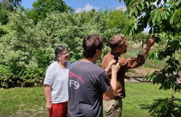 Ruralna kuća za odmor Pozojova hiža - Rural Holiday House - Foto 4