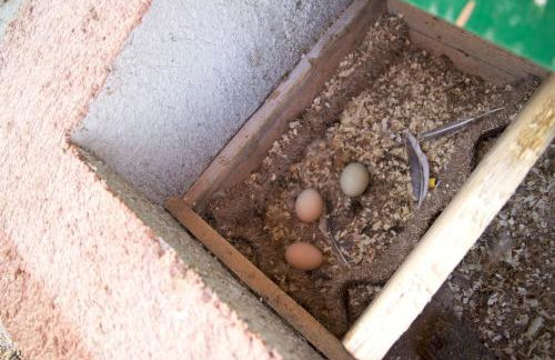 Fairy of Velebit unique countryside house - Photo 55
