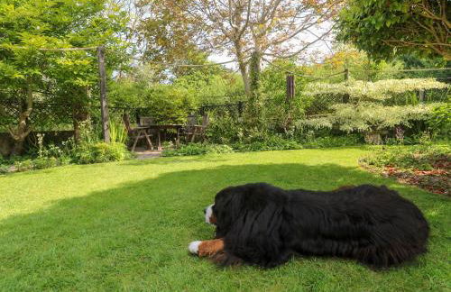 Little Acorns - Photo 40