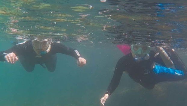 Mergulhando perto da superfície em Ilhabela