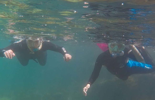 Snorkel em Ilhabela - Foto 4
