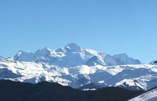 Chalet Fleur des Neiges - Foto 21