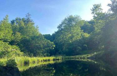 The Creek Cabin at Sky Hollow - Foto 25