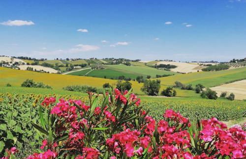 Il Giardino nella Valle - Foto 13