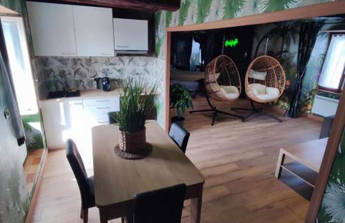 L'évasion jungle - Foto 24