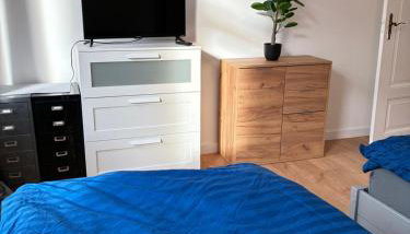 Neu saniertes Apartment in Magdeburg - Foto 3