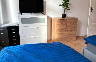 Neu saniertes Apartment in Magdeburg - Foto 3