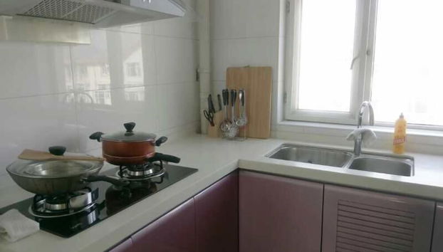 Wang you Apartment - Foto 5, Cocina privada