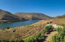 Wine House - Quinta Vale de Carvalho - Foto 35