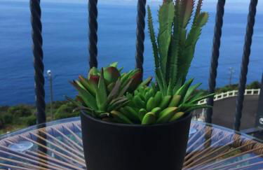 Vigia dos Machados - Photo 22