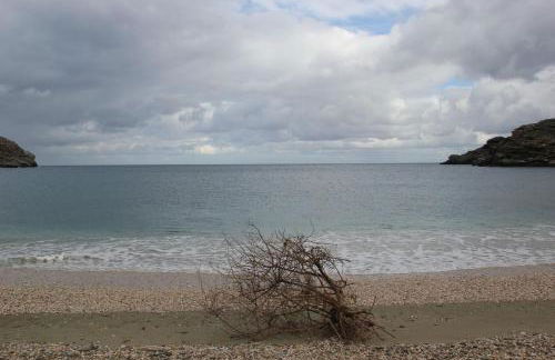 KARMI Apartments Stenies Andros - Foto 47