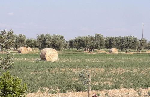 Agriturismo Le Chiare Stelle - Foto 28