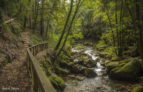 Casa 2 Gallos - Foto 30