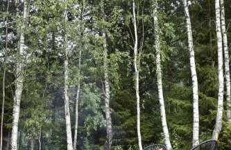 Żywiołowo - domki w stylu stodoły z placem zabaw i stawem - ZIEMIA - Foto 17