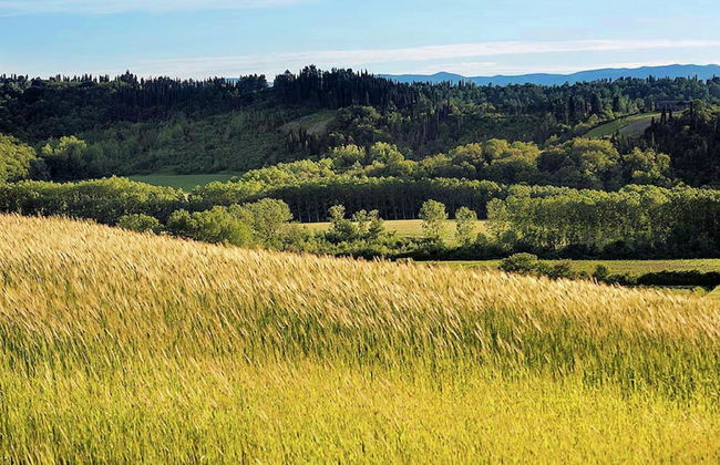 Apartment Near Pisa With Pool and Garden - Foto 37