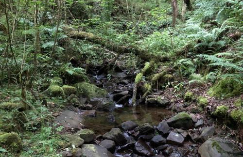 Very Special Home In Rhondda Valley Herbert House By STAE-Homes - Foto 29