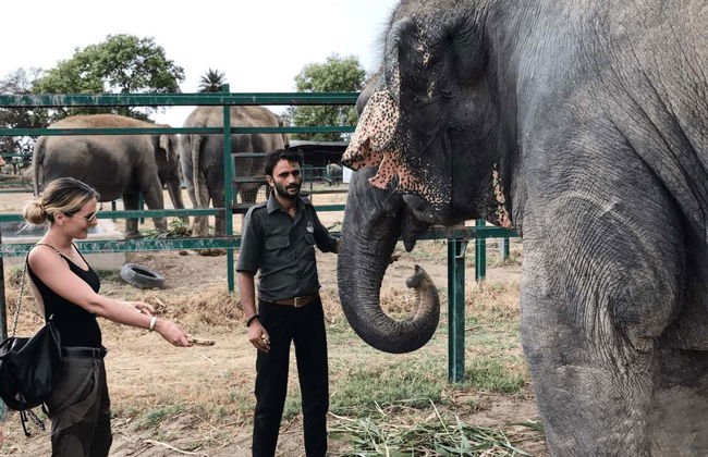 Elephant Conservation and Care Center Day Trip - Foto 2