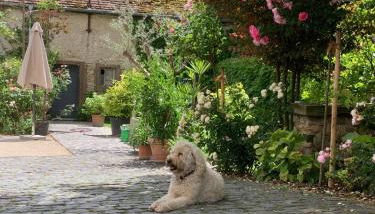 Klosterhof Weingut BoudierKoeller - Foto 2, Garden