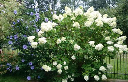 Appartementhof Stadler - Foto 78