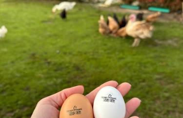 Family Farm Soc. Agr. a r.l. - Foto 11