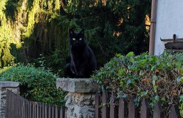 GÓRNA VIBES - Foto 31