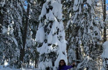 Residence Villa Schlern - Foto 37