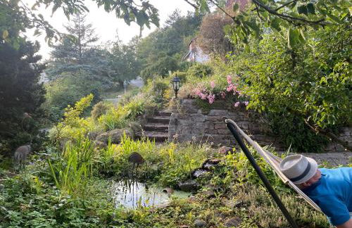 Ferienwohnung Baumkrone - Foto 11