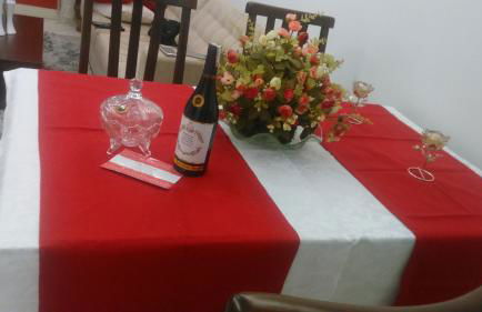 Apartamento Parque das Palmeiras - Foto 19