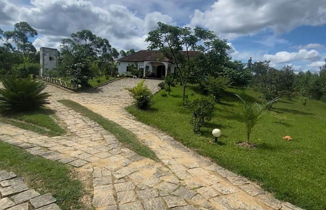 Andasibe Sifaka Lodge - Foto 45