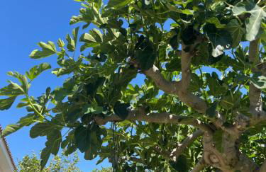 Il Cottage di Wanda - Foto 23