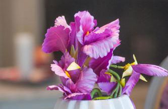 Skandalakis Homes & Apartments - Foto 1