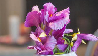 Skandalakis Homes & Apartments - Foto 1