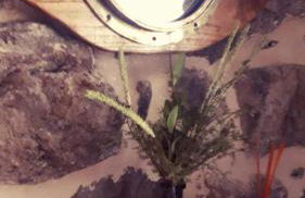 A CASIÑA DA PALMERA - Foto 19