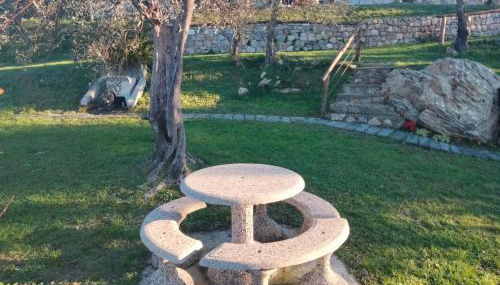 A CASA DI OLIVO - Foto 2