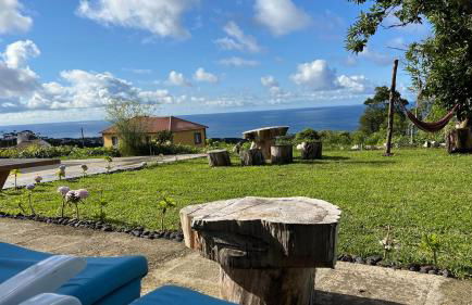 Biscoitos Top View - Photo 1