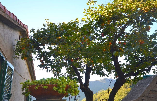 Small House in the Hills for Beautiful Walks Near the Sea - Foto 27