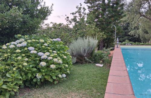 Monte do Rei Santo - Foto 57