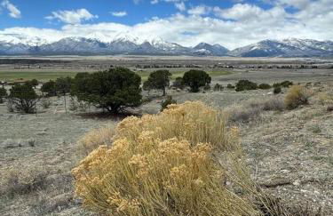 Dogs OK! Prime Home Base minutes to Downtown and Trails - Foto 63