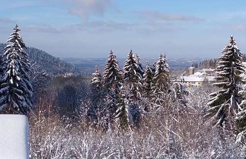 Chalet neuf avec jacuzzi privé, vue imprenable sur Massif des Vosges - Foto 12