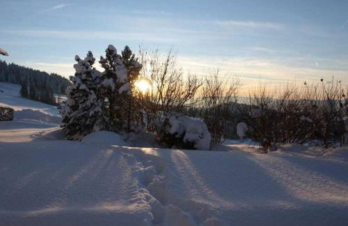 Holiday Apartment Schwärzler - Foto 7