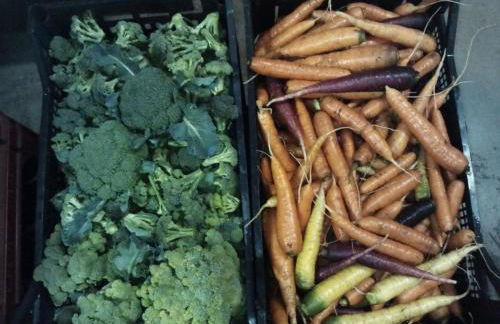 Winklerhof Apartments - Foto 33