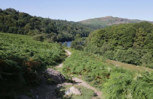 5 Waterside Wood - Foto 45