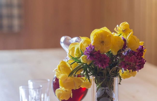 To Fall In Love - Chalet Zlatica - Velika Planina - Foto 11