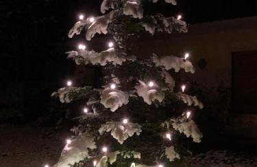 Haus Hubertus - Photo 26