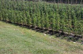 Agriturismo Antica Casa Scardone - Foto 127