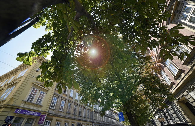 Markiz Luxury Apartments - Foto 41