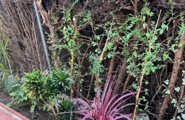 Comfortable apartment near the sea - Photo 64