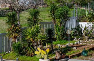 The Garden - Foto 47